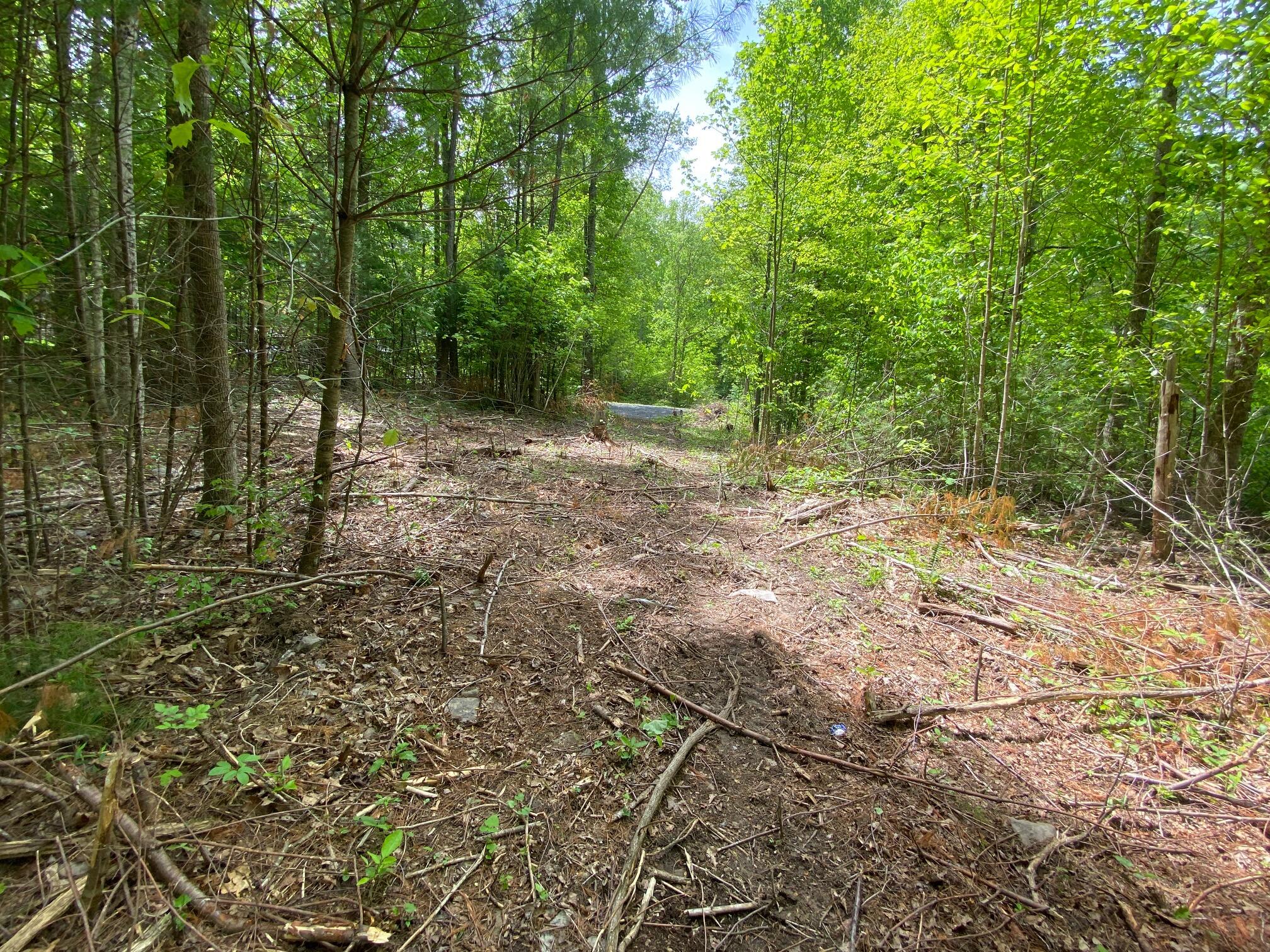 Lot 68 Underwood Ln #68, Gap Mills, West Virginia image 9