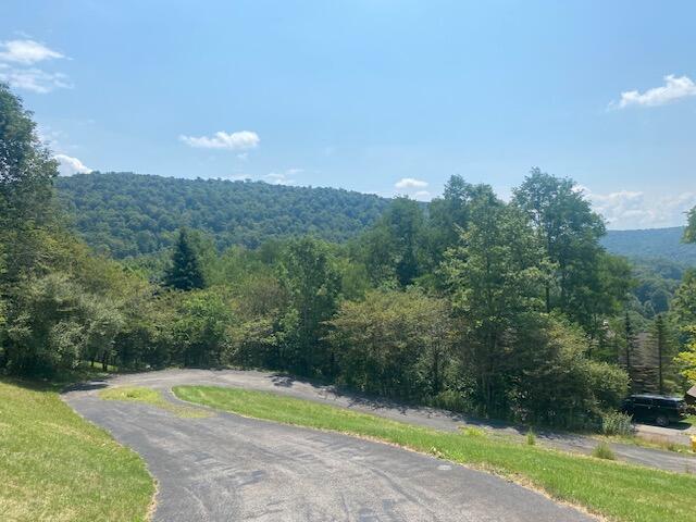 #28 Hawthorne Valley Rd, Snowshoe, West Virginia image 32