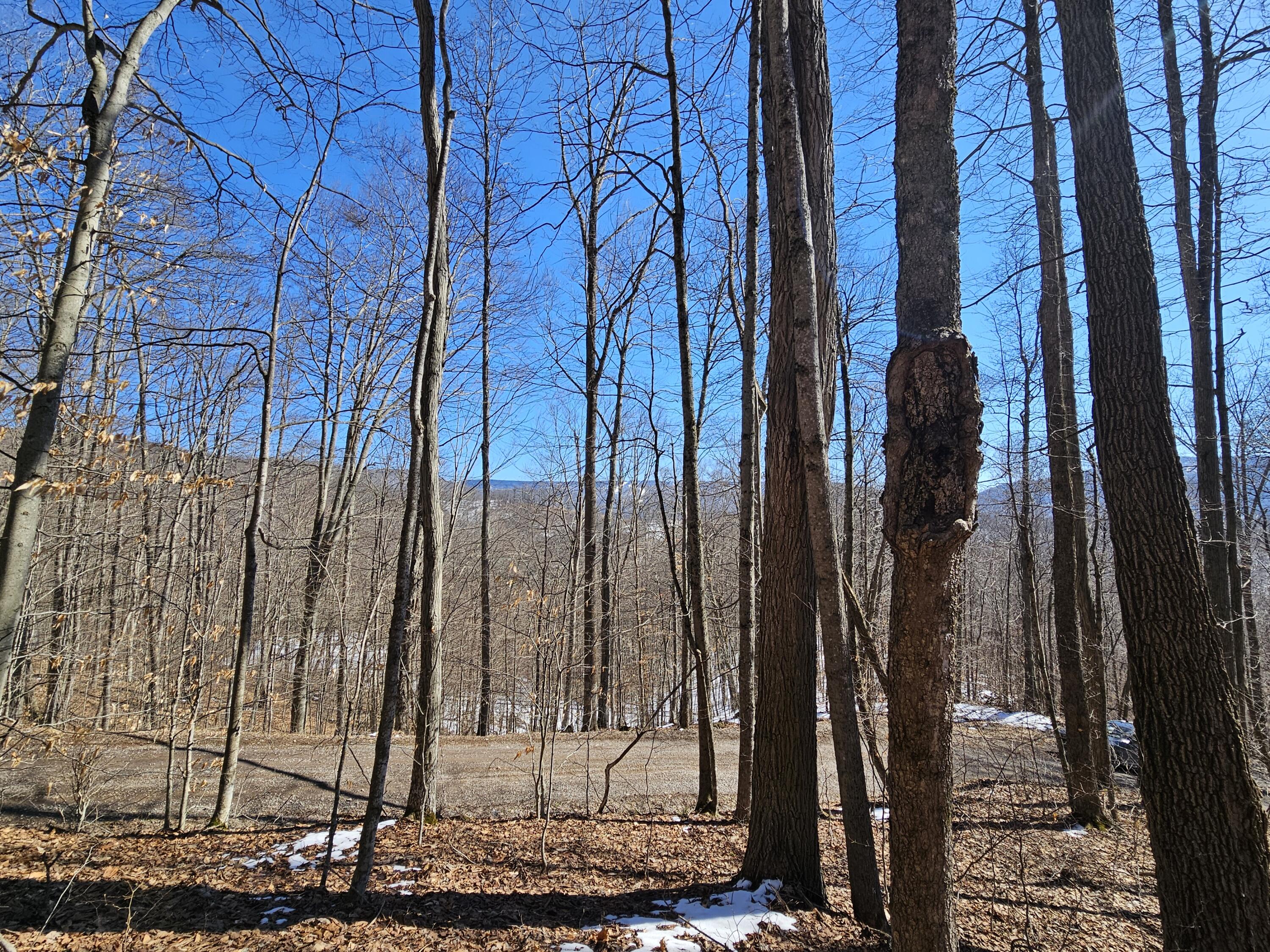 Lot 13 Lower Cherry Grove Rd #13, Slatyfork, West Virginia image 17