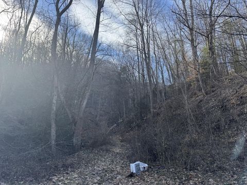 Vacant Land For Sale - 306 Rockcastle Rd<br/> Colcord, WV 25048