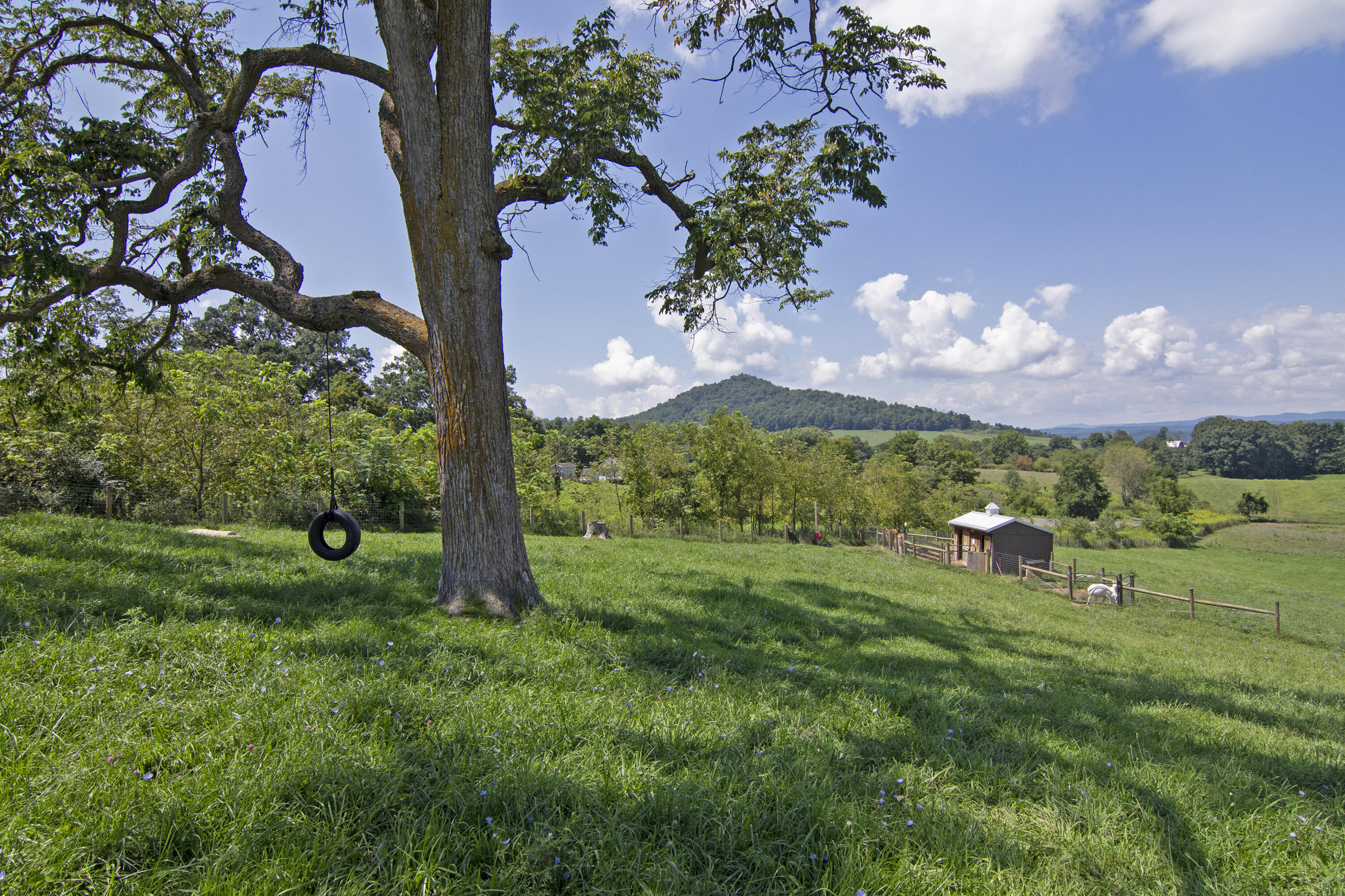 1170 Arbuckle Ln, Lewisburg, Pennsylvania image 15