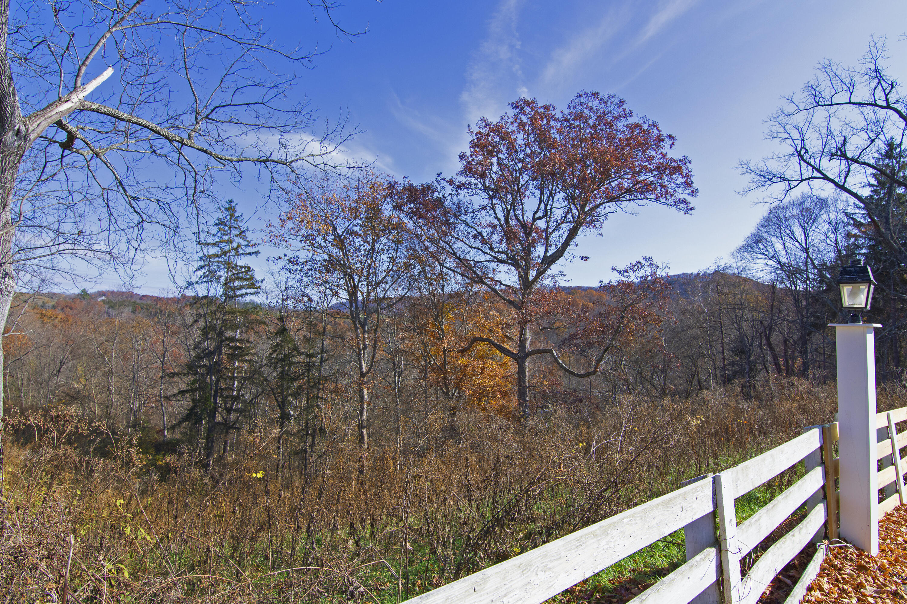 532 N Spring St, Alderson, West Virginia image 46
