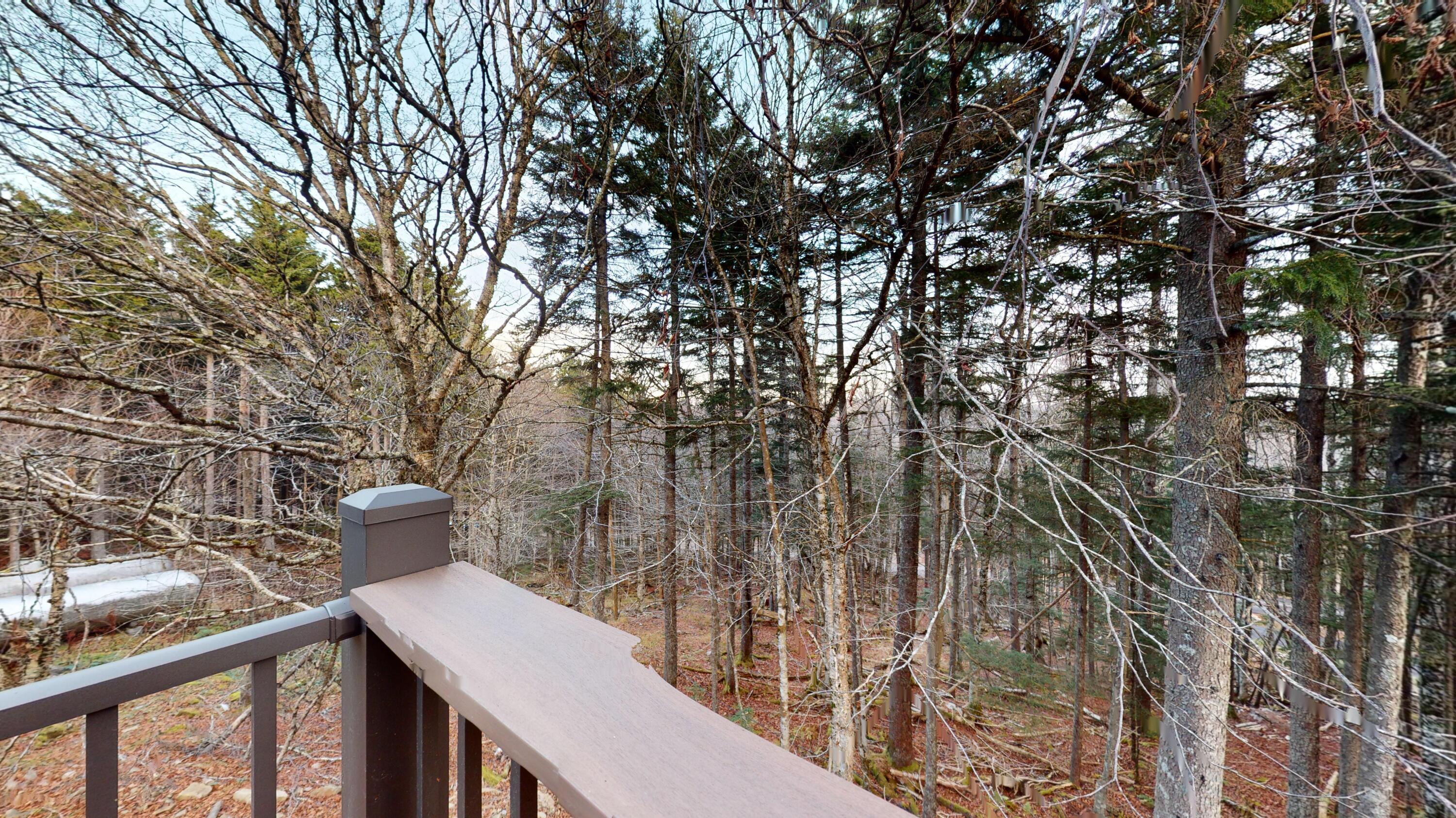 #32 Treetop St, Snowshoe, West Virginia image 4