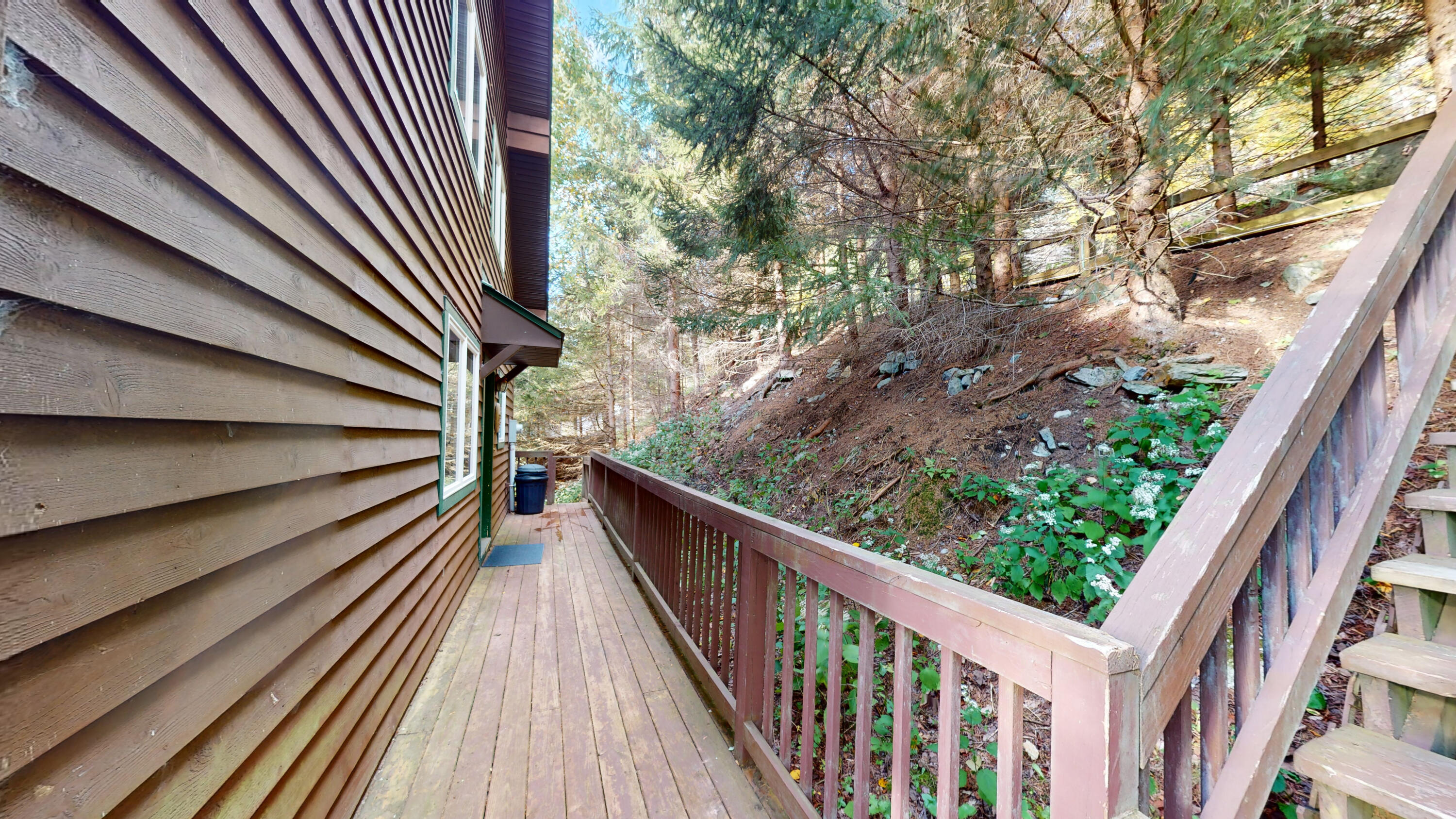 392 North Westridge Road, Snowshoe, West Virginia image 35