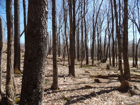 Vacant Land For Sale - 6183 Cass Road<br/> Slatyfork, WV 26291