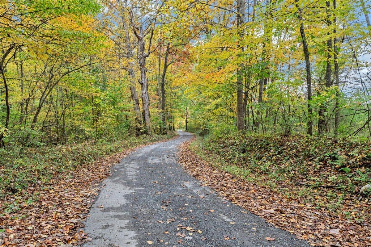 Flynns Creek Road, Williamsburg, West Virginia image 30