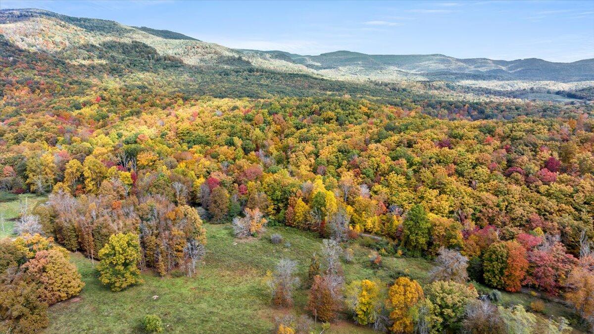 Flynns Creek Road, Williamsburg, West Virginia image 9