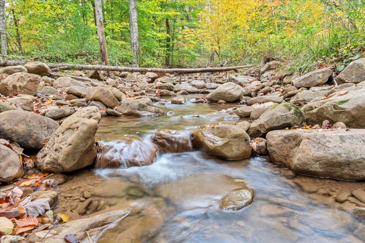 Flynns Creek Road, Williamsburg, West Virginia image 32