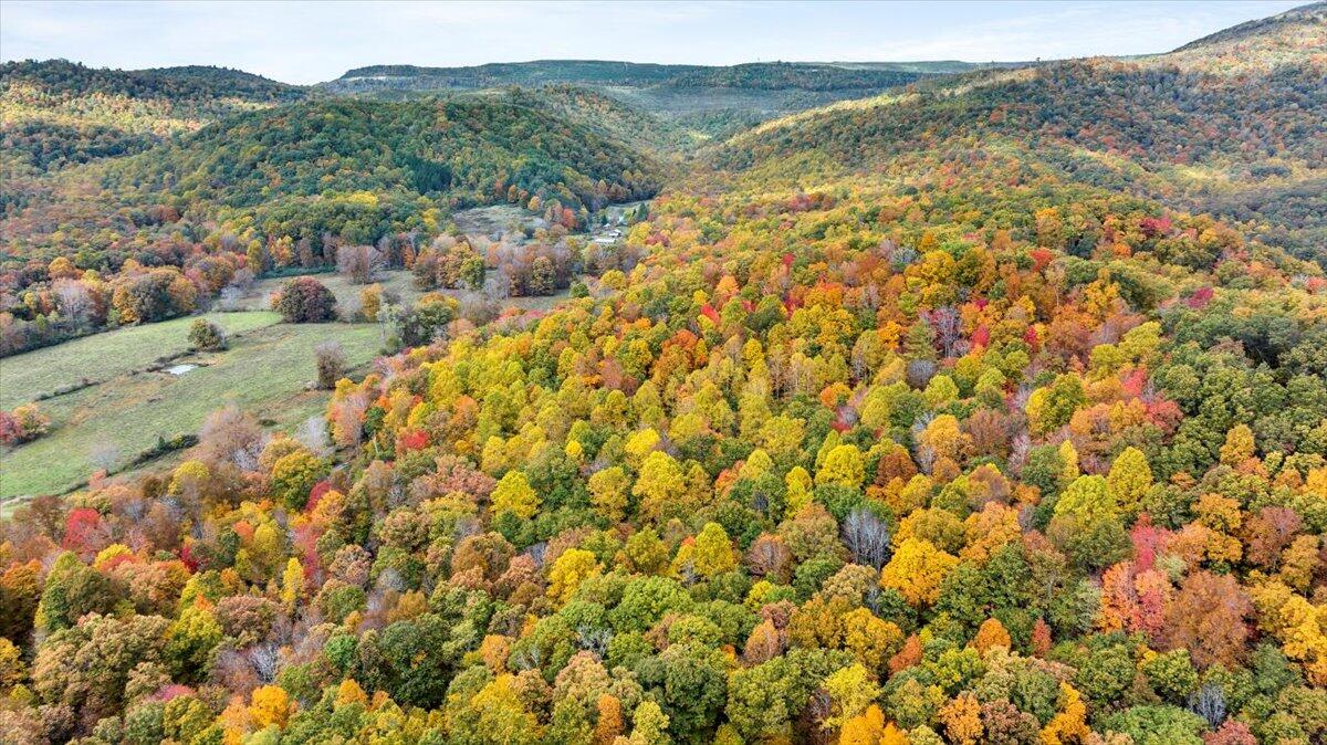 Flynns Creek Road, Williamsburg, West Virginia image 4