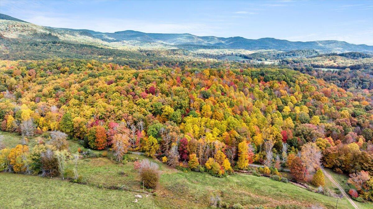 Flynns Creek Road, Williamsburg, West Virginia image 8