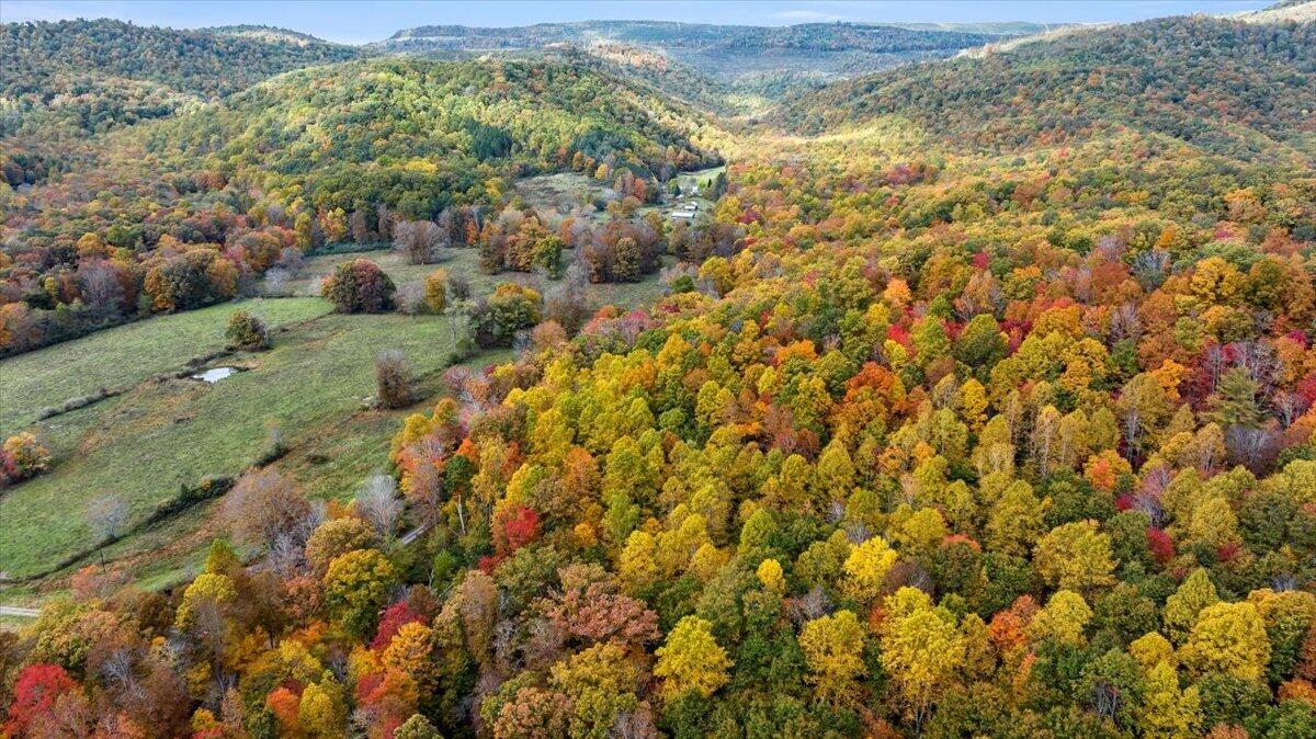 Flynns Creek Road, Williamsburg, West Virginia image 17