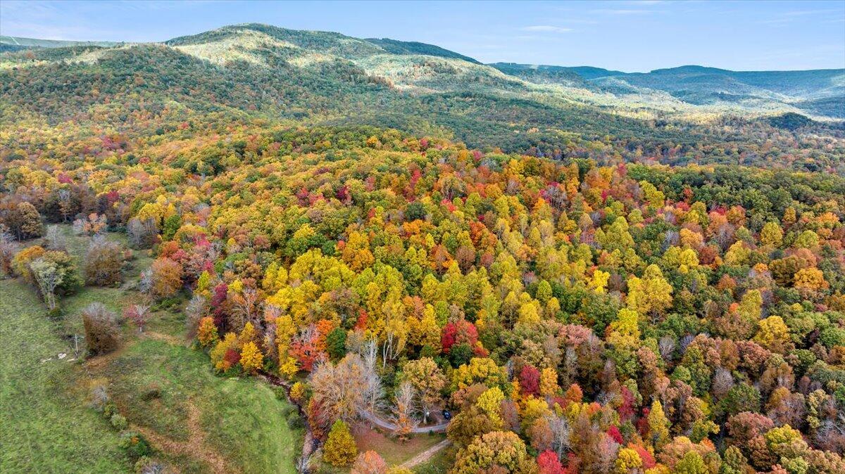 Flynns Creek Road, Williamsburg, West Virginia image 1