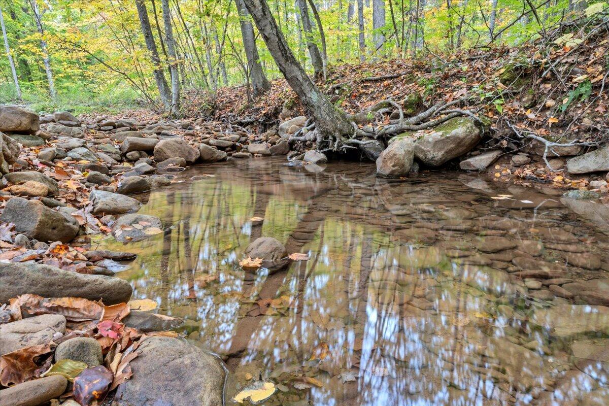 Flynns Creek Road, Williamsburg, West Virginia image 35