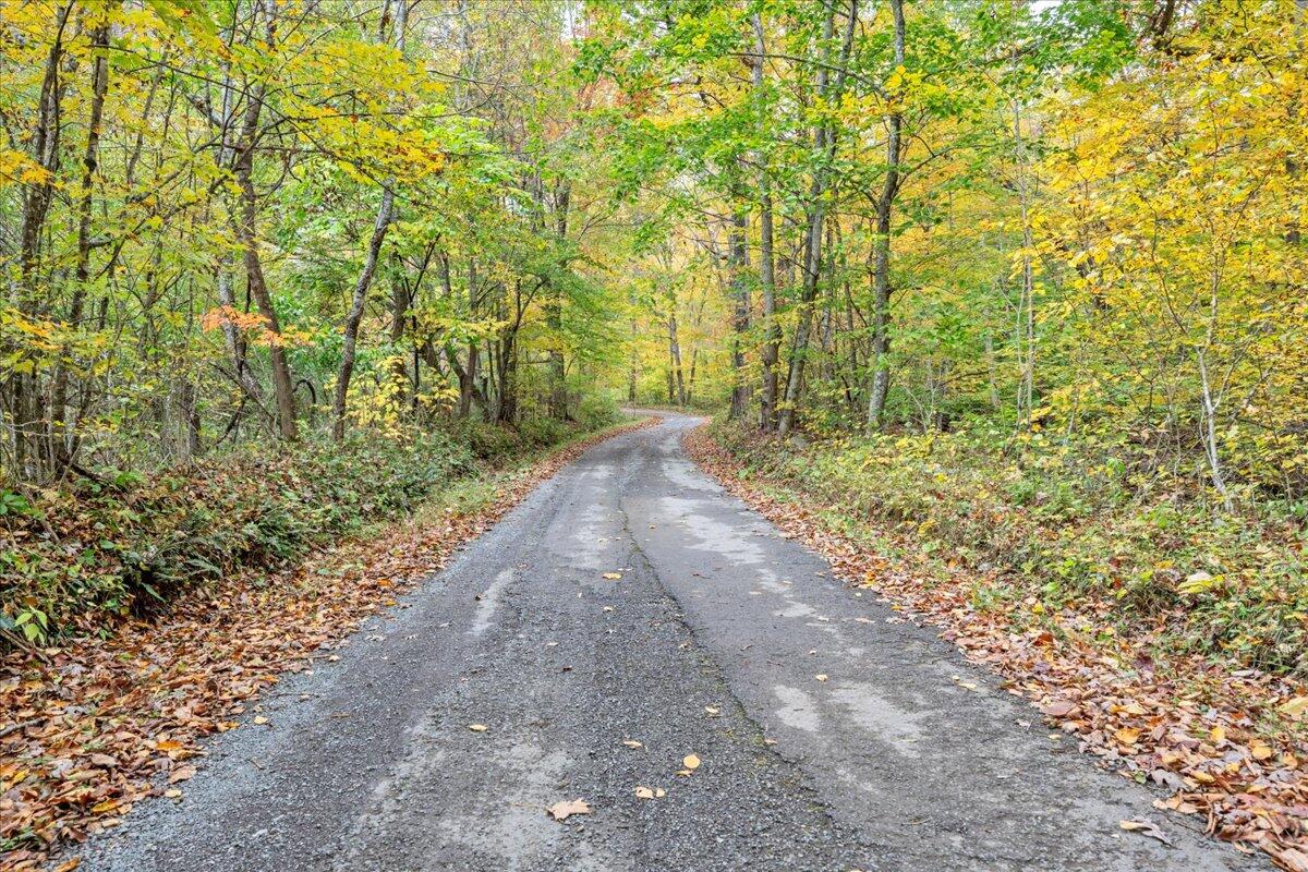 Flynns Creek Road, Williamsburg, West Virginia image 29