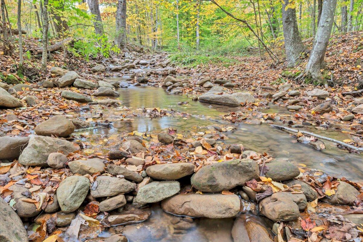 Flynns Creek Road, Williamsburg, West Virginia image 38