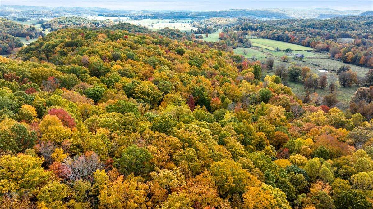 Flynns Creek Road, Williamsburg, West Virginia image 14