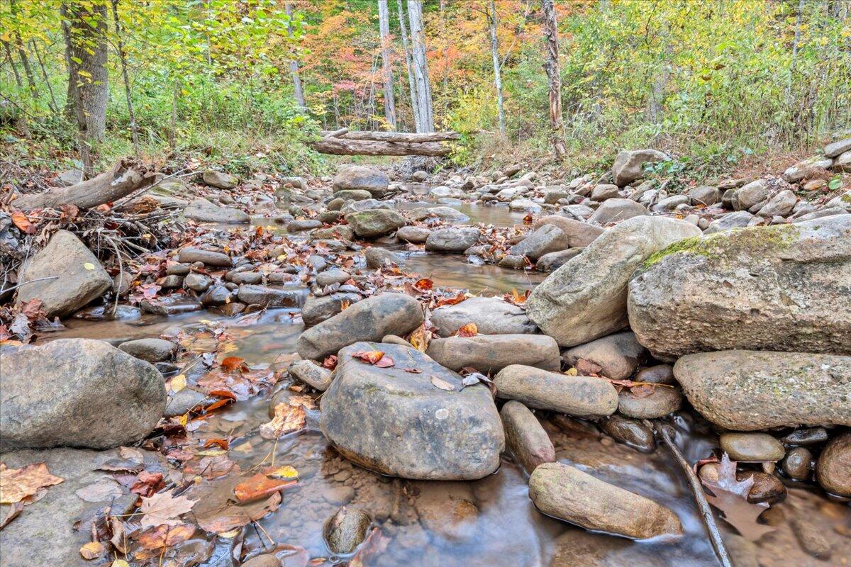 Flynns Creek Road, Williamsburg, West Virginia image 21