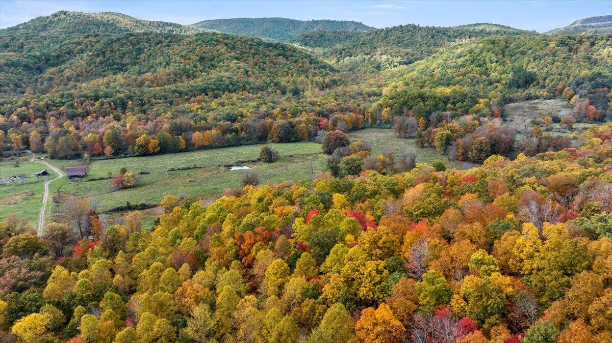 Flynns Creek Road, Williamsburg, West Virginia image 16