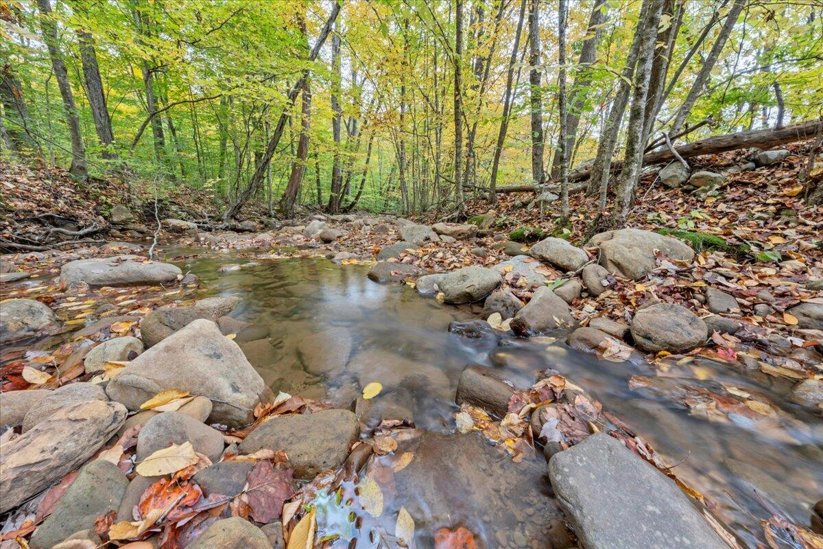 Flynns Creek Road, Williamsburg, West Virginia image 34