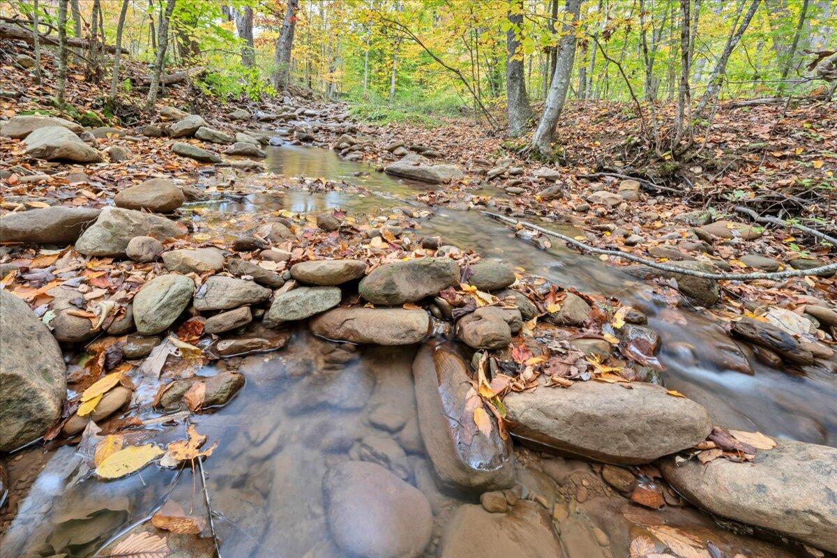 Flynns Creek Road, Williamsburg, West Virginia image 37