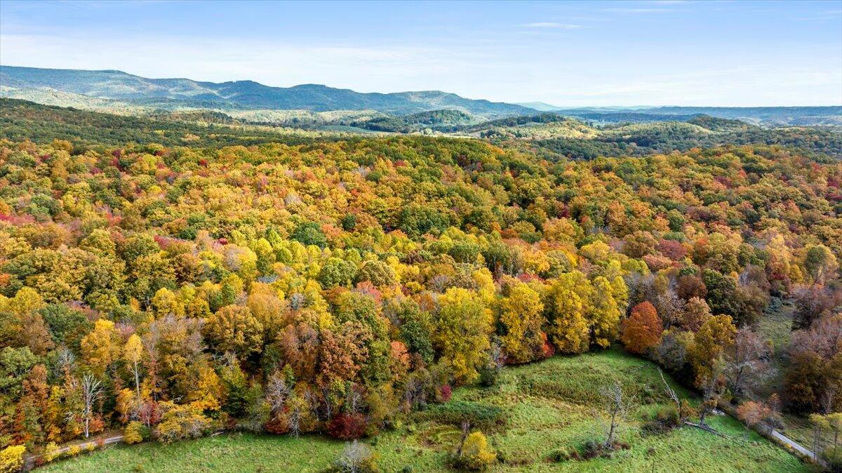 Flynns Creek Road, Williamsburg, West Virginia image 11