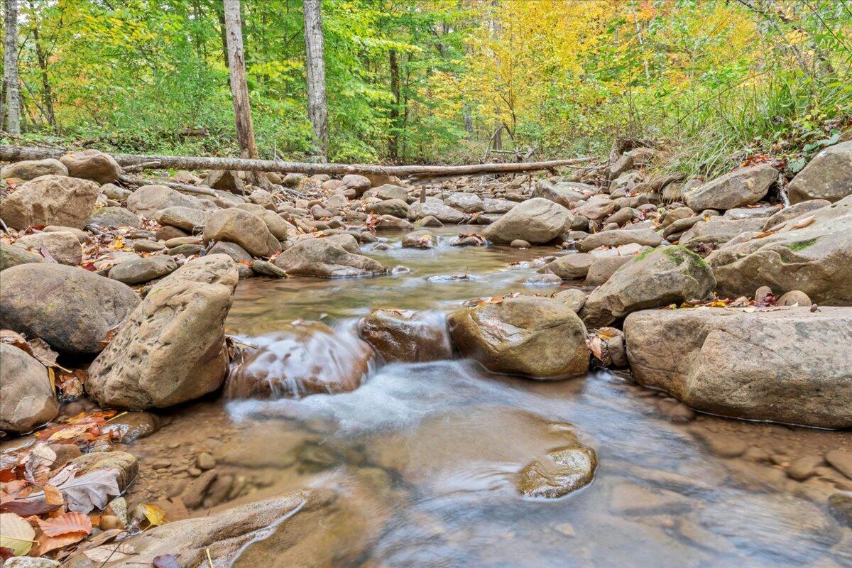 Flynns Creek Road, Williamsburg, West Virginia image 31