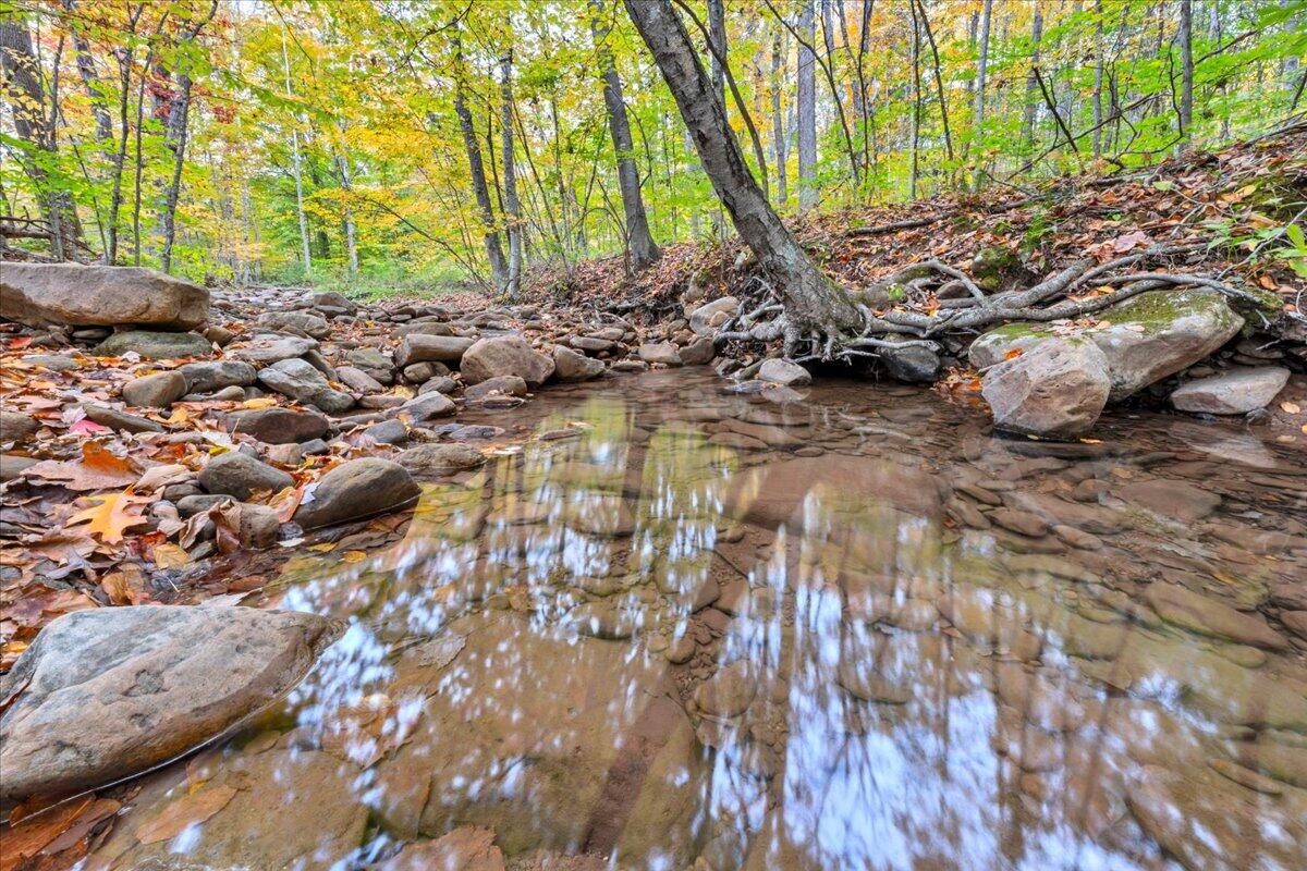 Flynns Creek Road, Williamsburg, West Virginia image 36