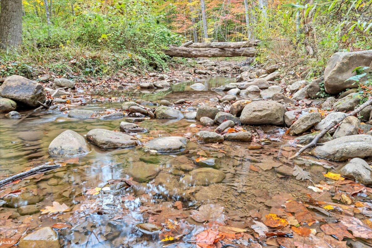 Flynns Creek Road, Williamsburg, West Virginia image 25