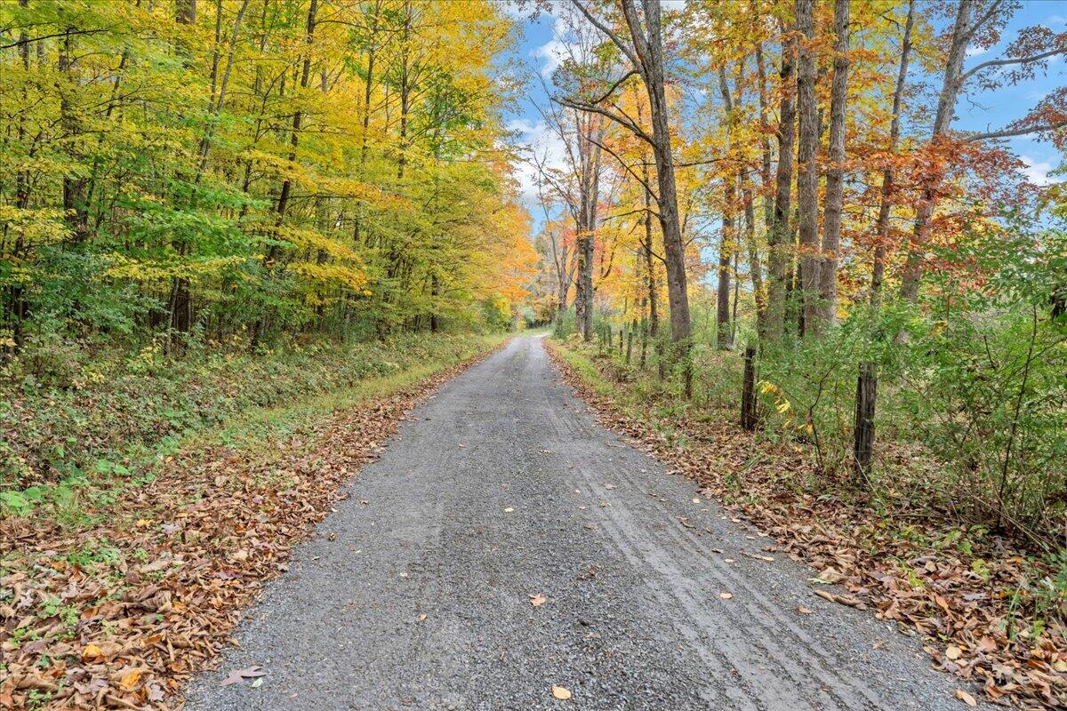 Flynns Creek Road, Williamsburg, West Virginia image 28