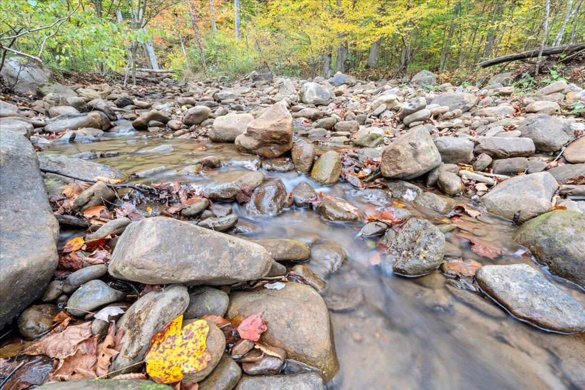 Flynns Creek Road, Williamsburg, West Virginia image 20