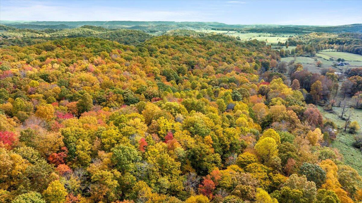 Flynns Creek Road, Williamsburg, West Virginia image 12