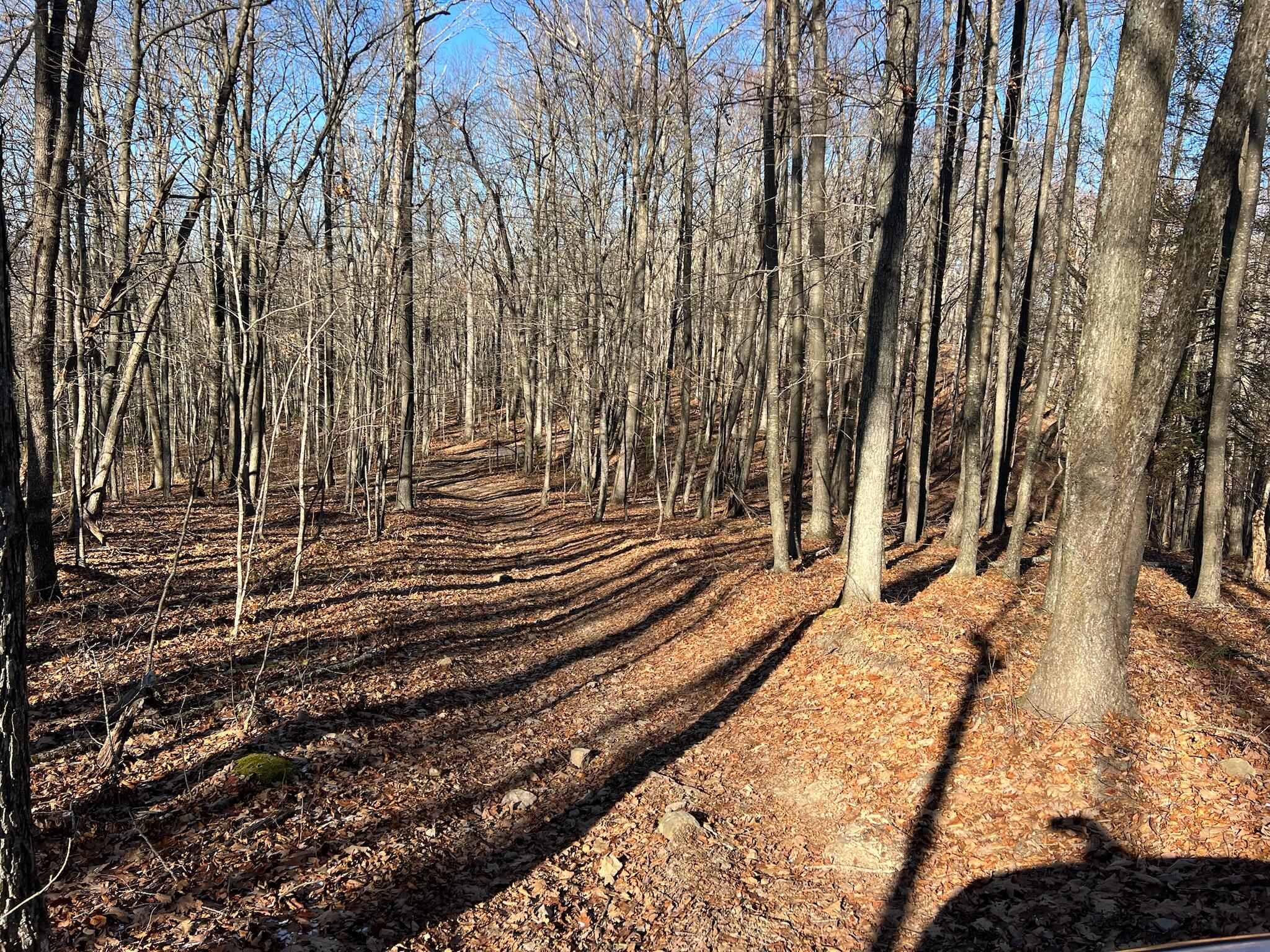 Lot 20 Bear Track, Gap Mills, West Virginia image 6