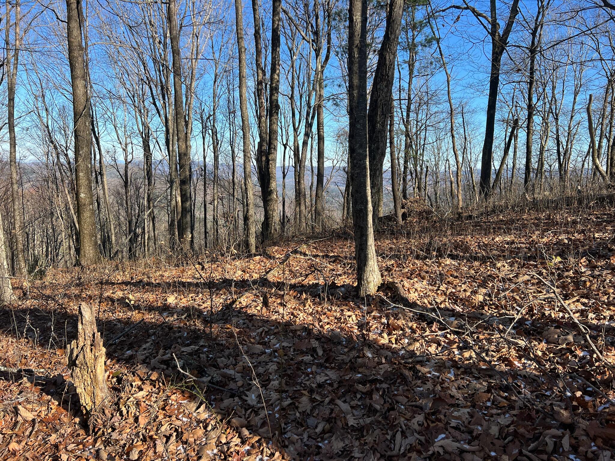 Lot 20 Bear Track, Gap Mills, West Virginia image 7