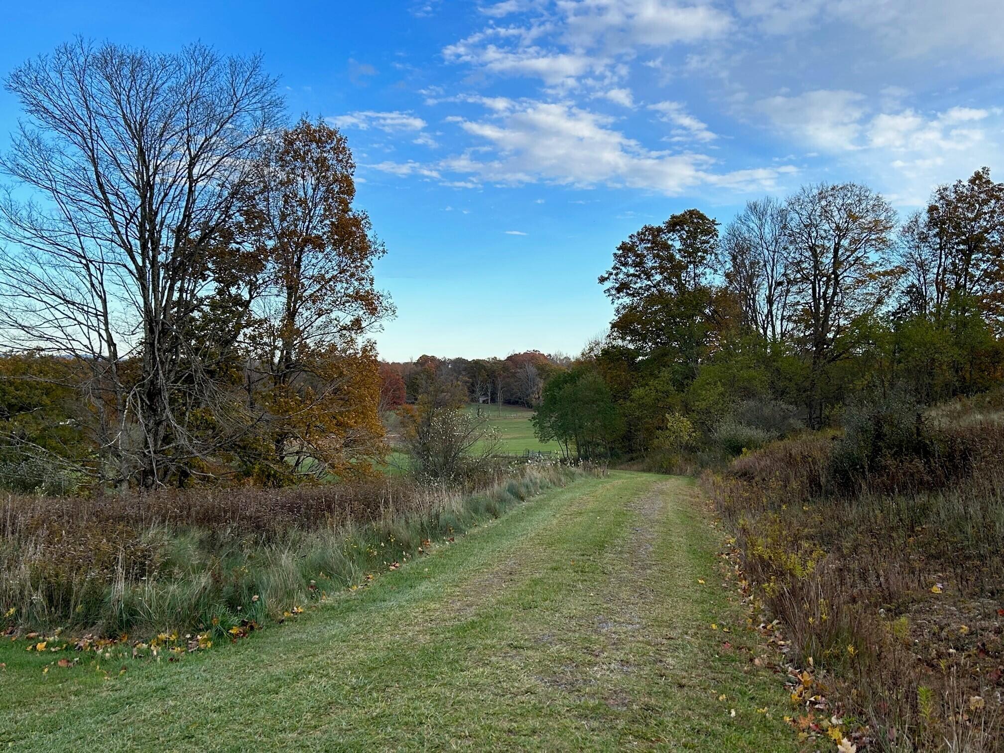 Lot 11 Kellison Acres #11, Marlinton, West Virginia image 6