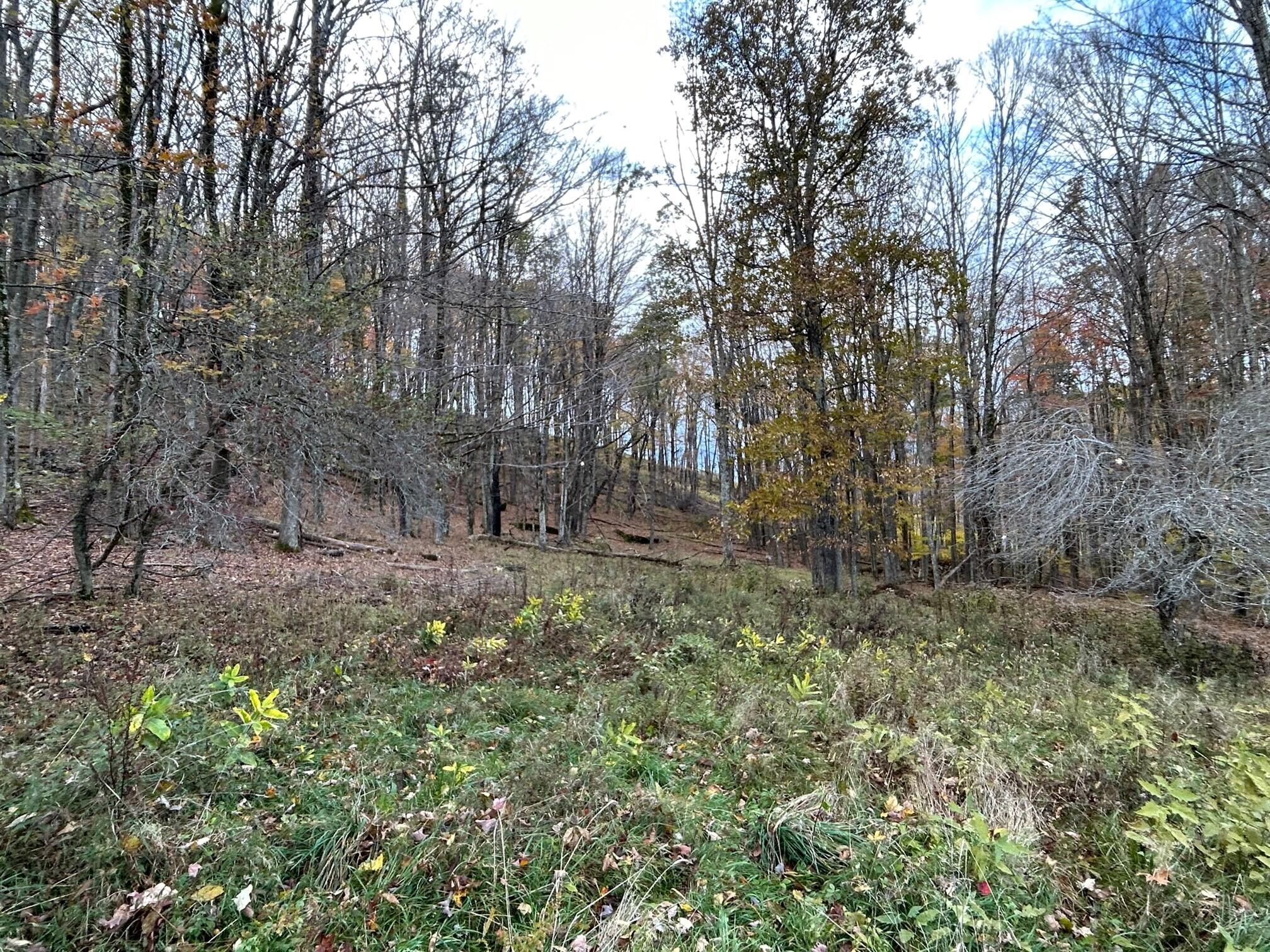 Lot 11 Kellison Acres #11, Marlinton, West Virginia image 7