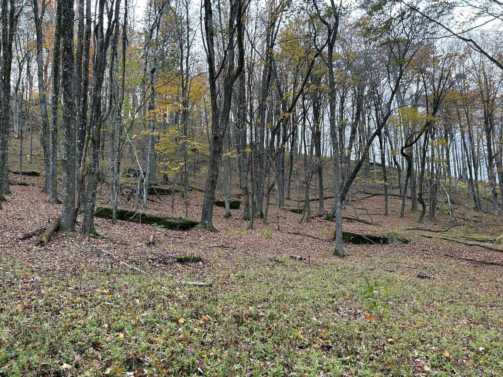 Lot 11 Kellison Acres #11, Marlinton, West Virginia image 8