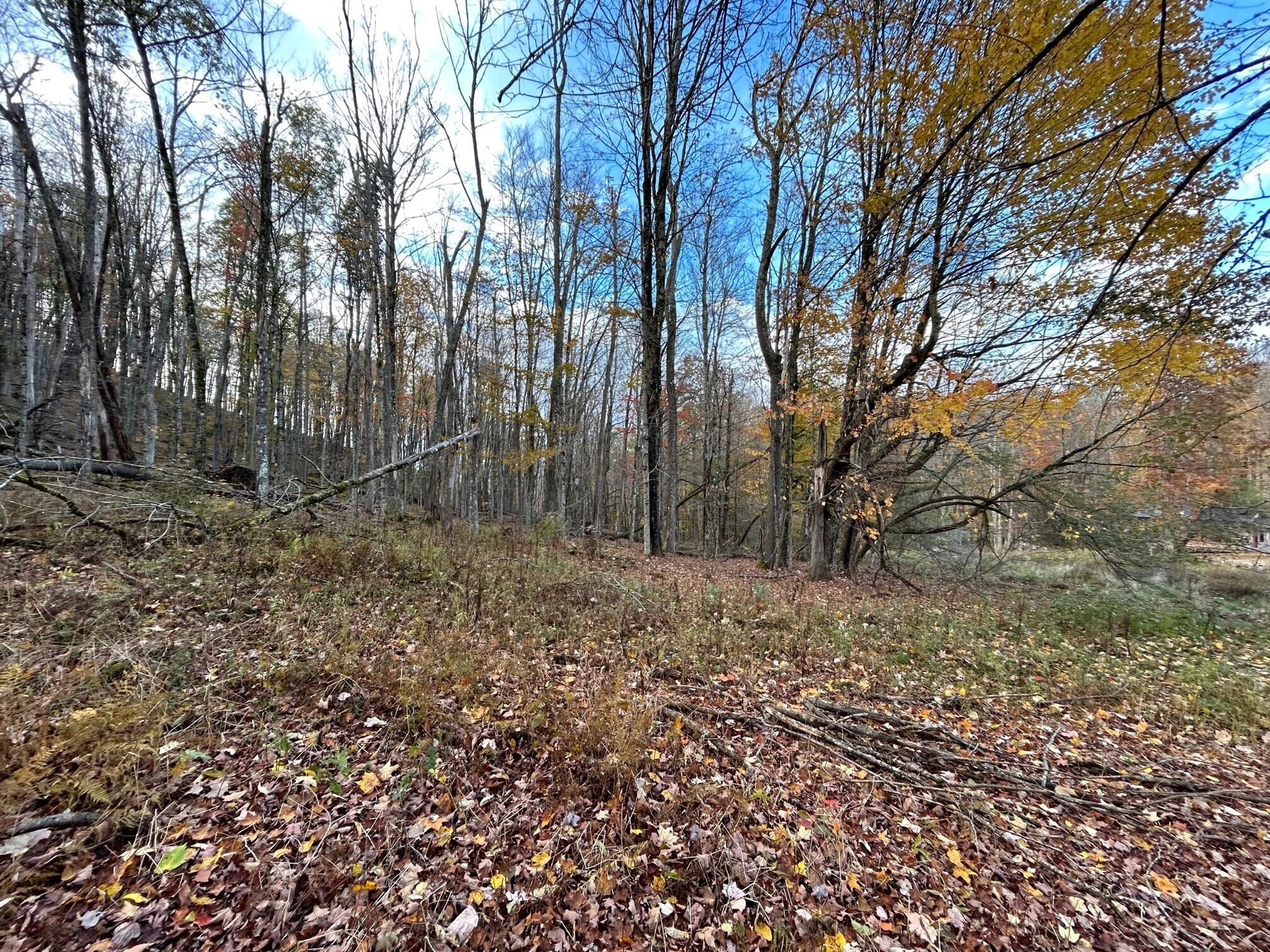 Lot 11 Kellison Acres #11, Marlinton, West Virginia image 11