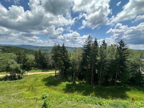 Vacant Land For Sale - 311 Red Spruce Dr<br/> Snowshoe, WV 26209