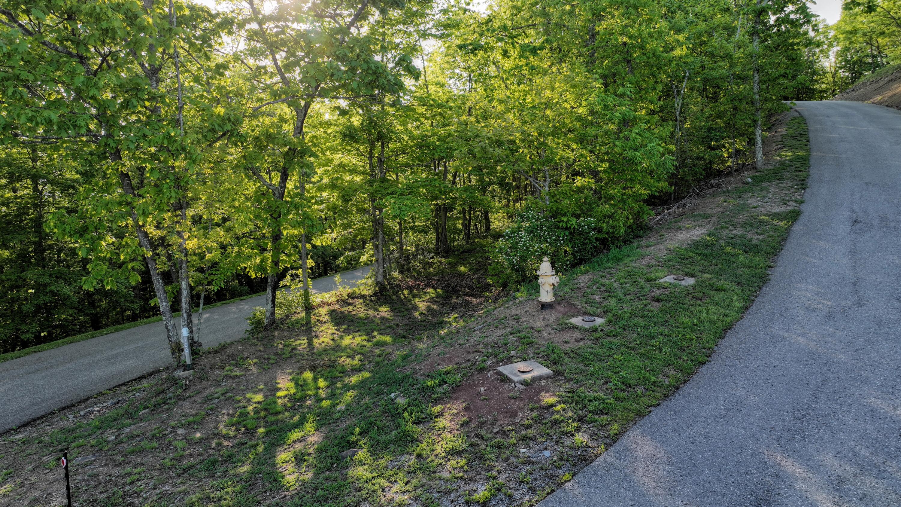 Lot 100 White Rock Trl #100, Caldwell, West Virginia image 3