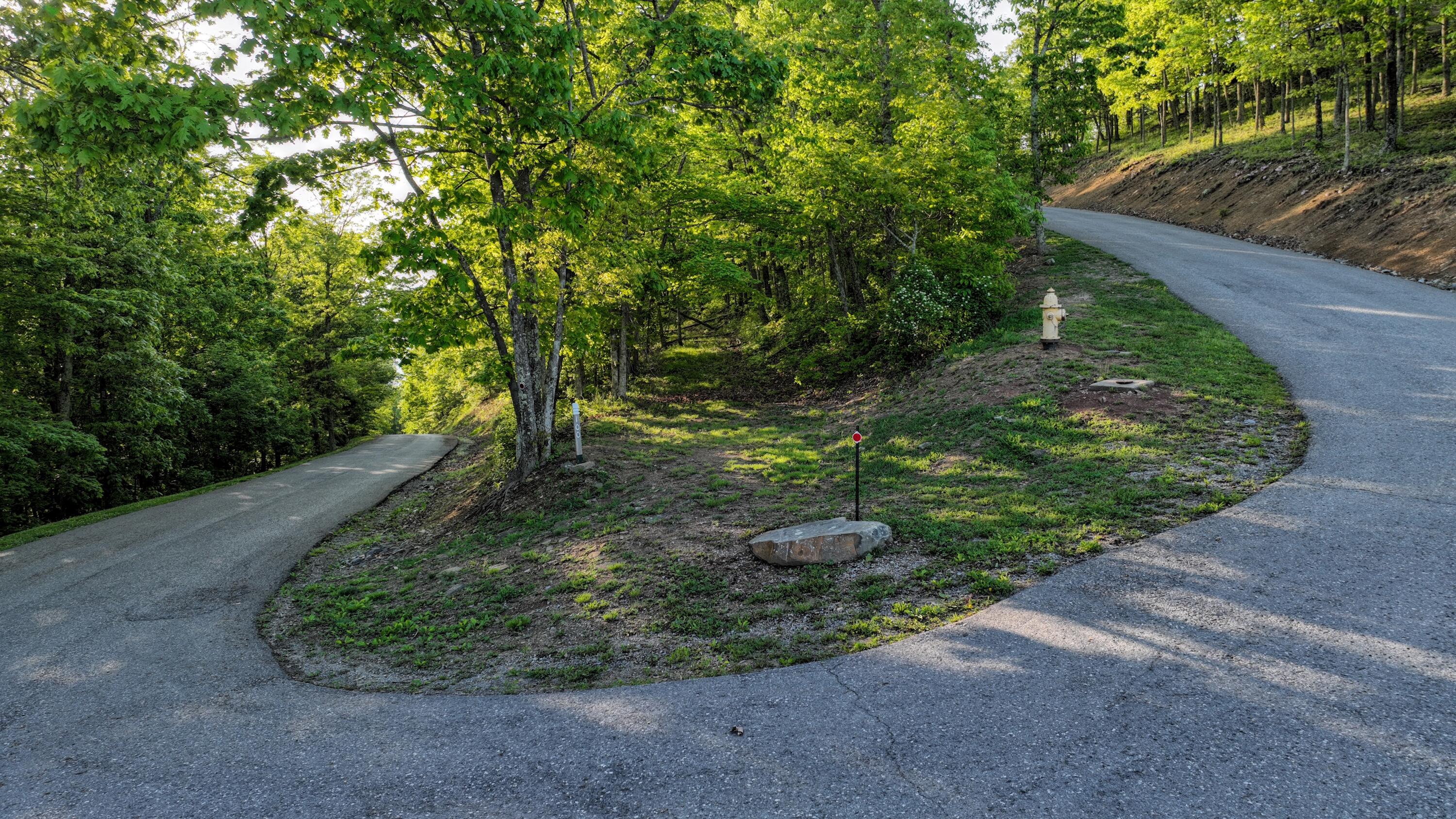 Lot 100 White Rock Trl #100, Caldwell, West Virginia image 5