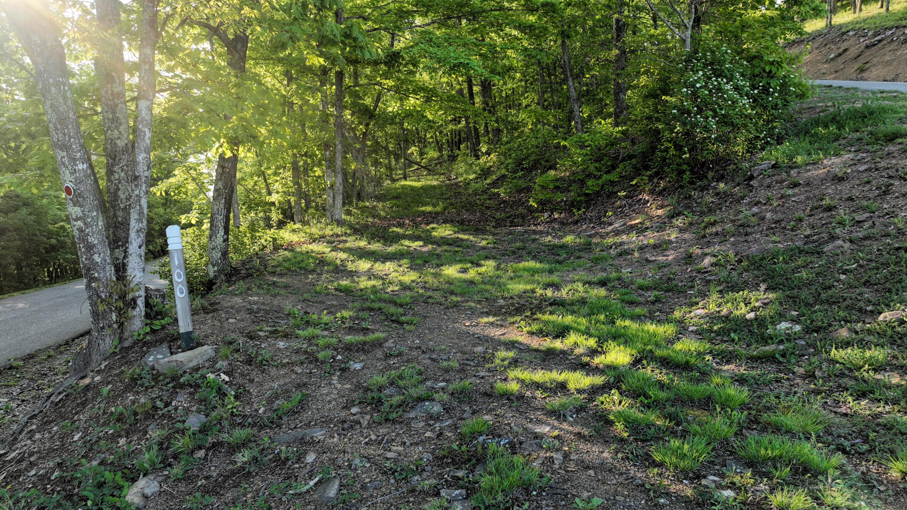 Lot 100 White Rock Trl #100, Caldwell, West Virginia image 4