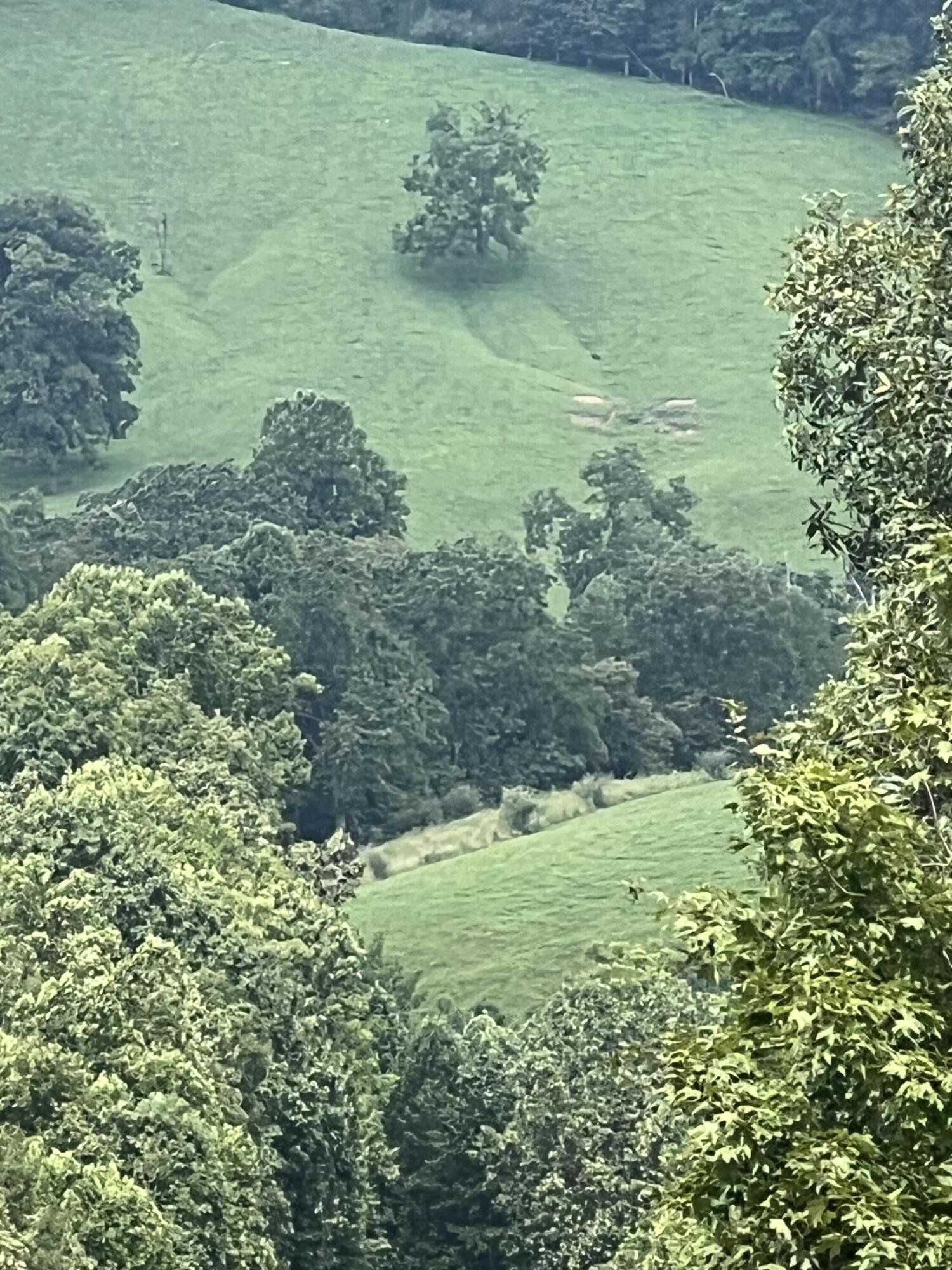 County Rte 19/12, Napier, West Virginia image 1