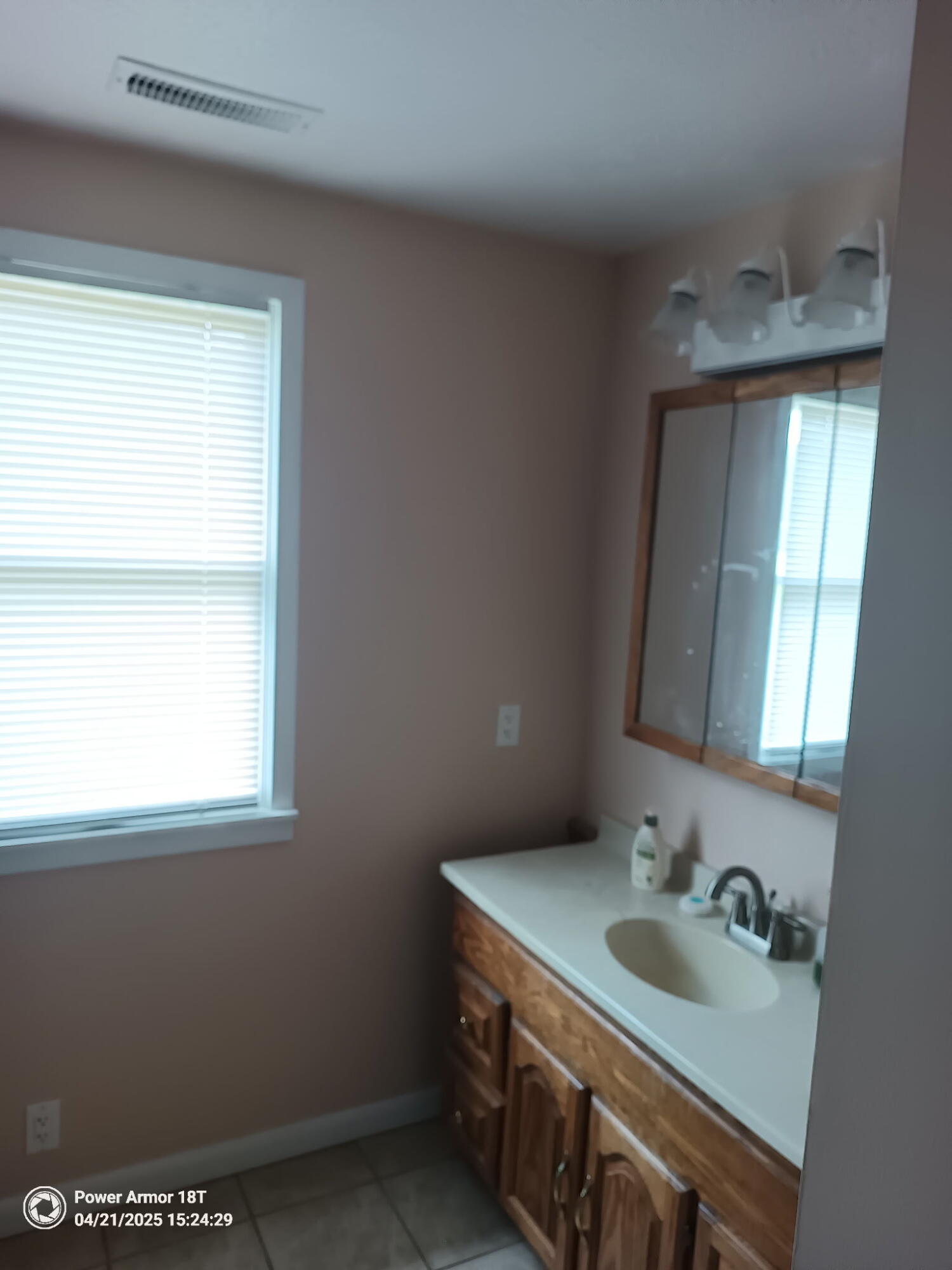 1123 Douthards Creek Rd, Marlinton, Idaho image 36