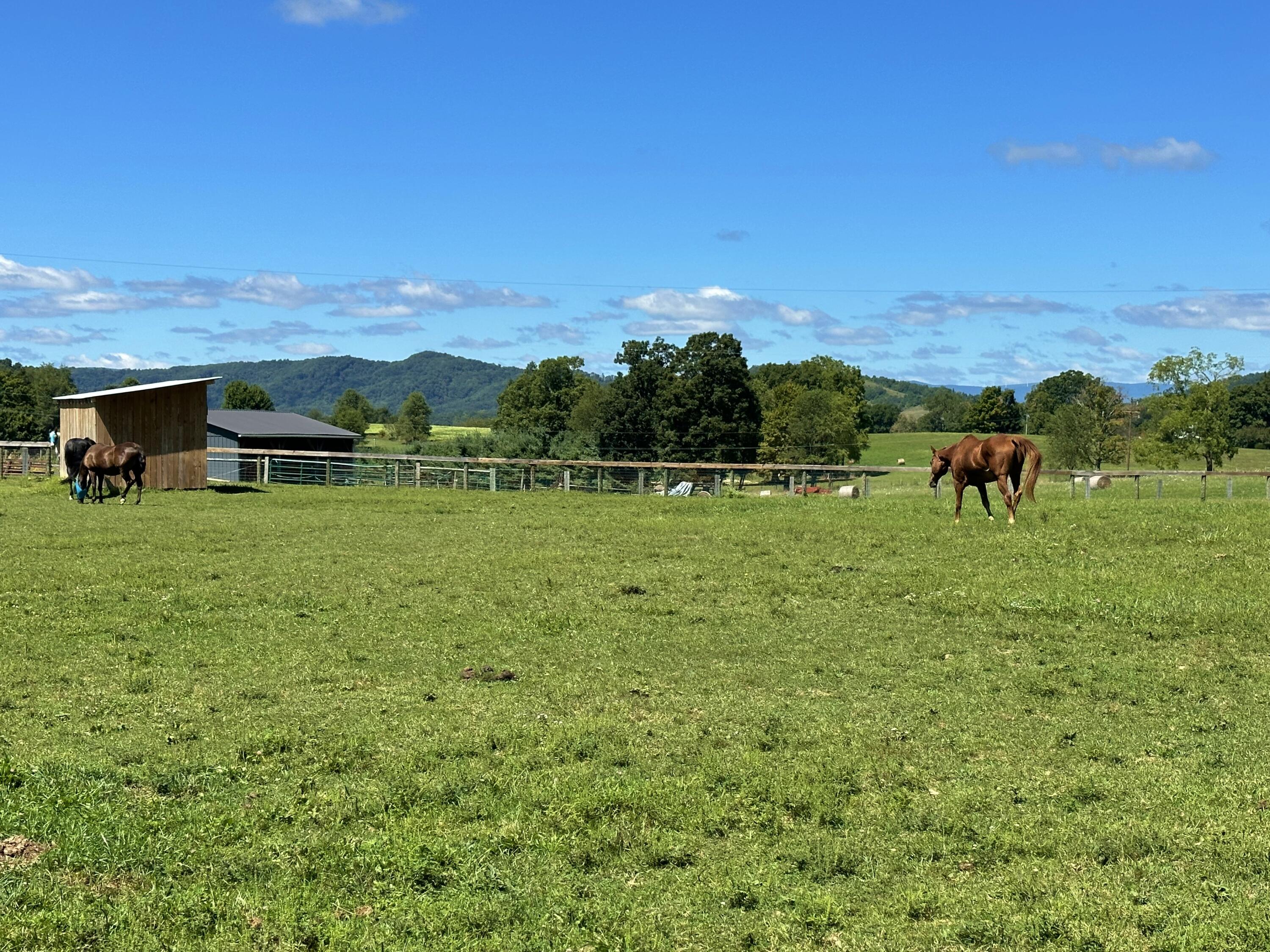 3476 Fairview Rd, Lewisburg, West Virginia image 12