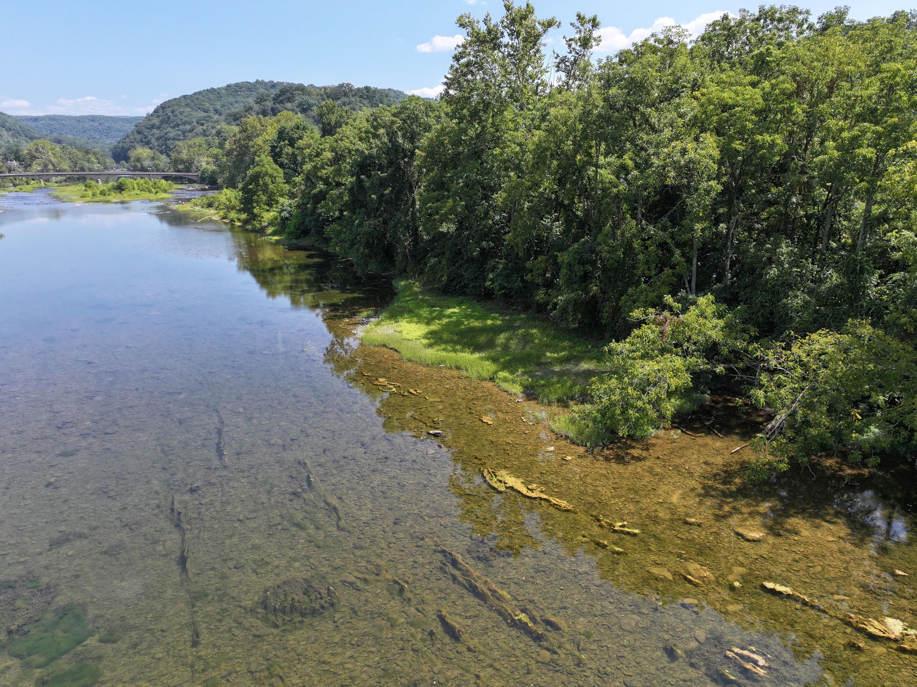 Howell St, Alderson, West Virginia image 8