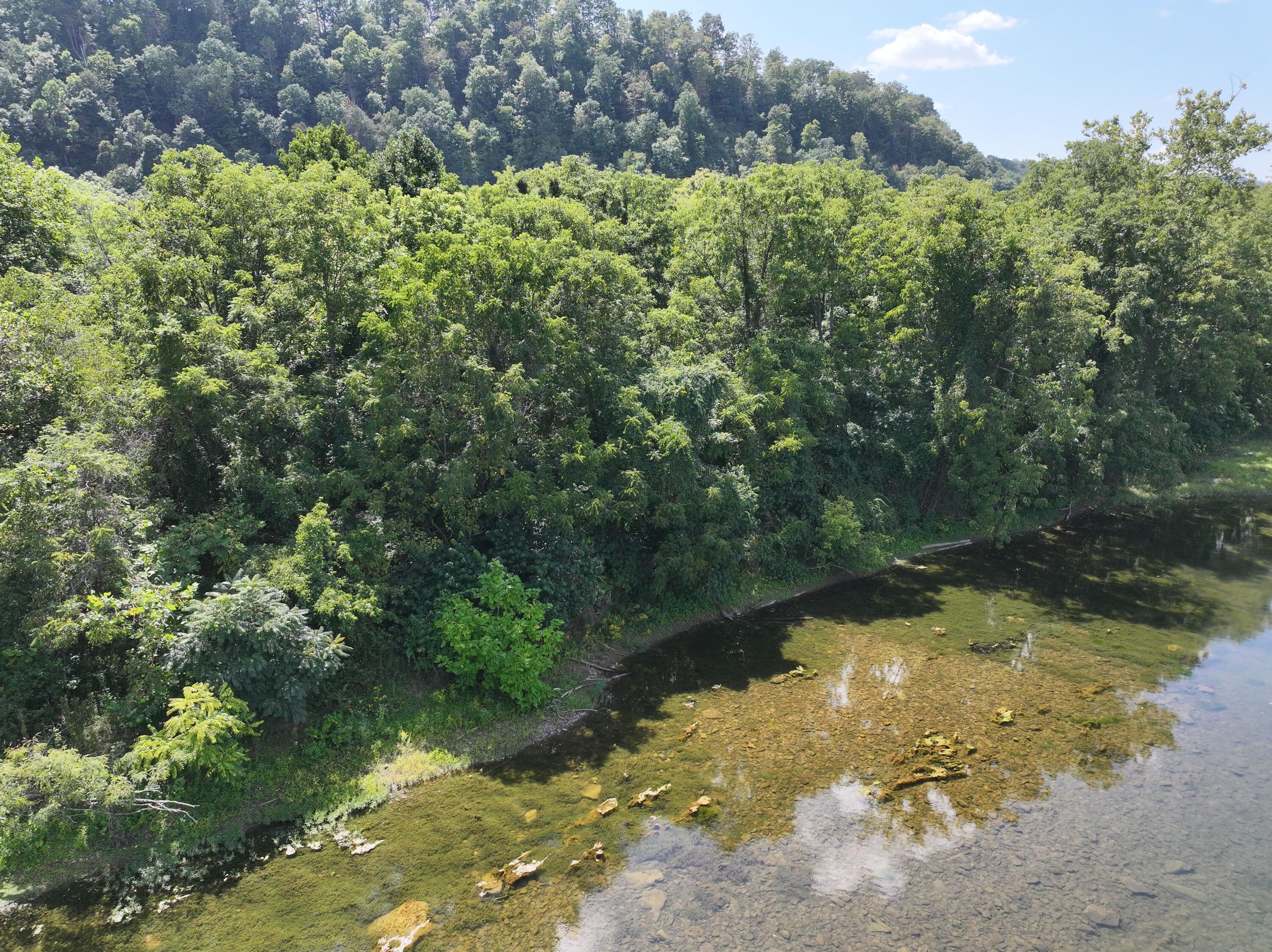 Howell St, Alderson, West Virginia image 6