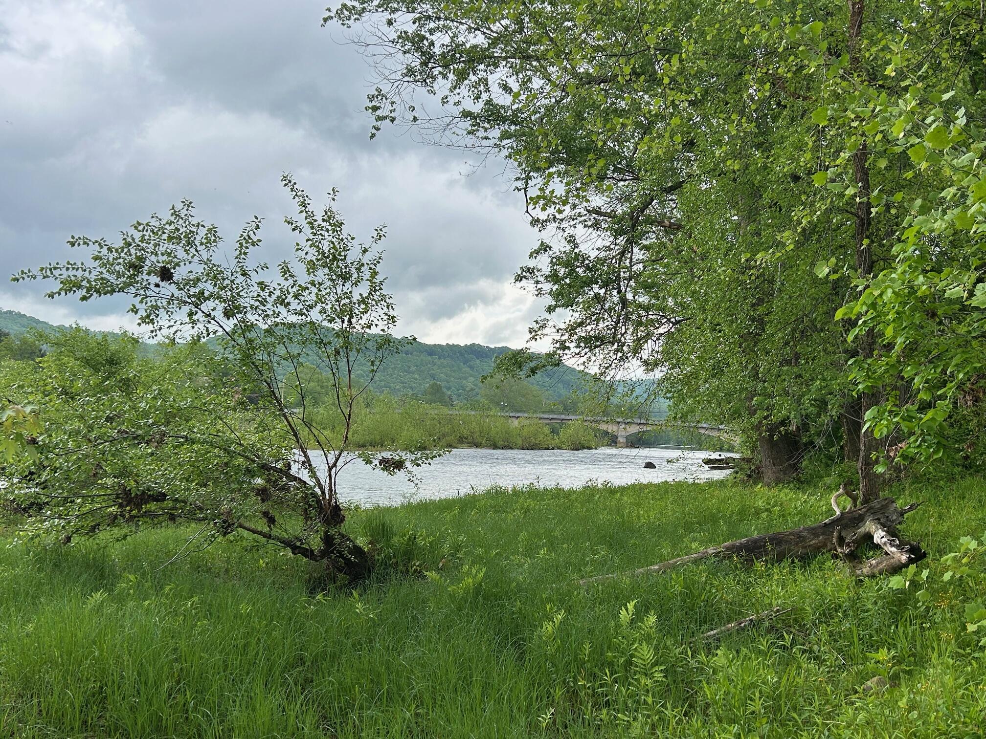 Howell St, Alderson, West Virginia image 32