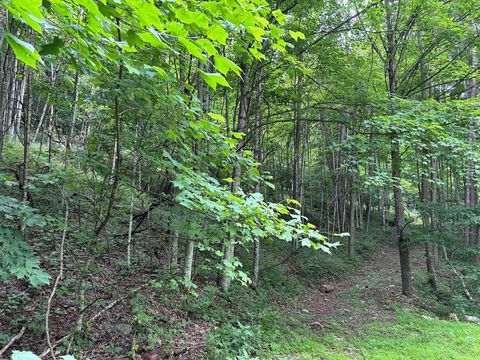 Vacant Land For Sale - 2360 Robins Fork Rd<br/> Renick, WV 24966