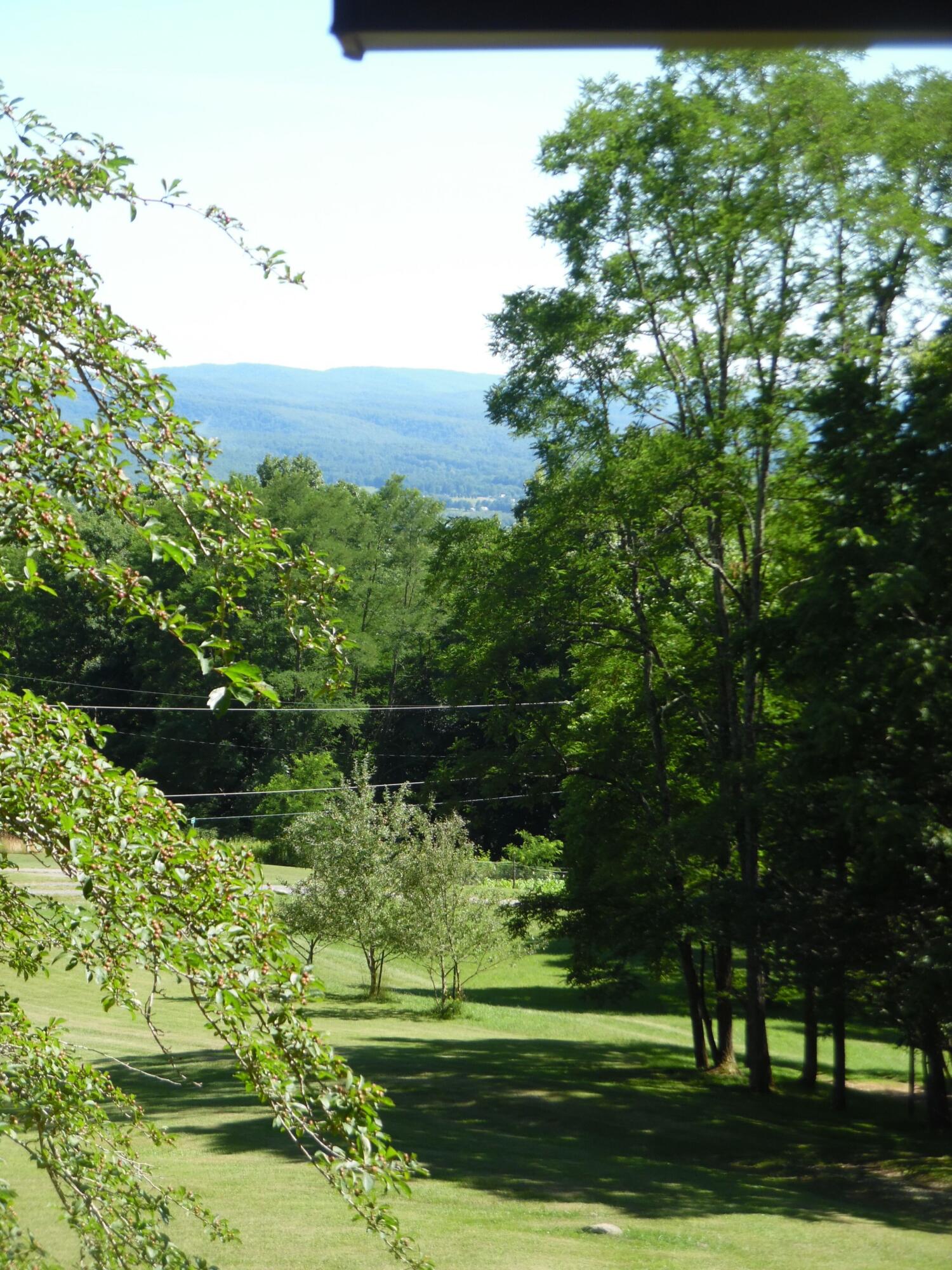 1180 Black Bear Trail, Hillsboro, West Virginia image 11