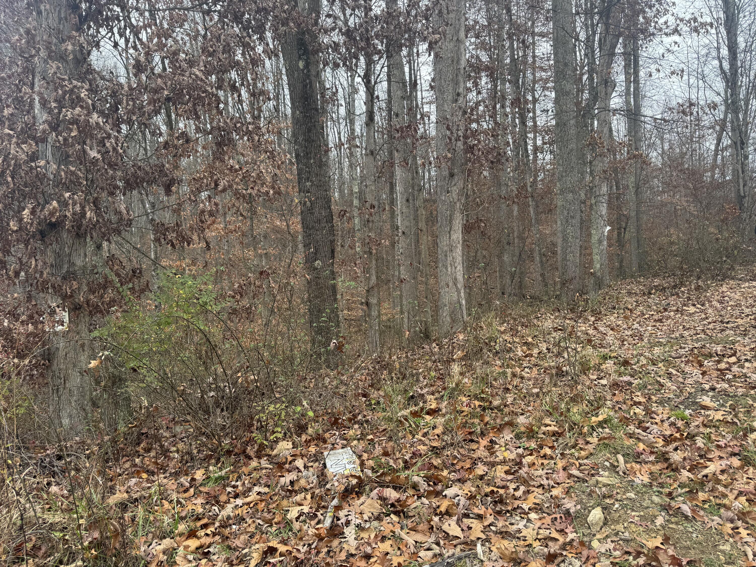 1151 Meadowville Kirt Rd, Montrose, West Virginia image 8